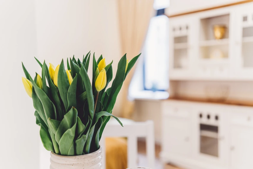 Kwiaty w wazonie jako dekoracja w apartamencie w Toruniu