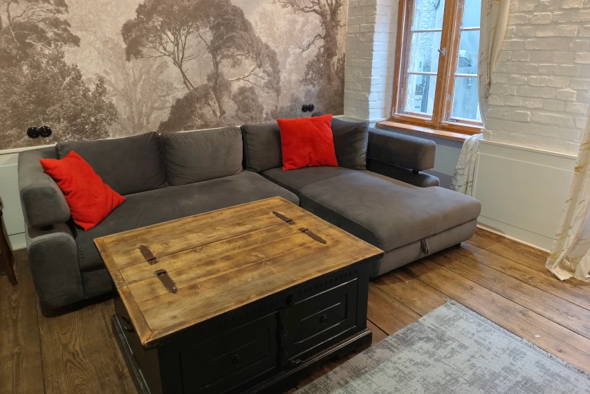 Duży salon w apartamencie w Toruniu