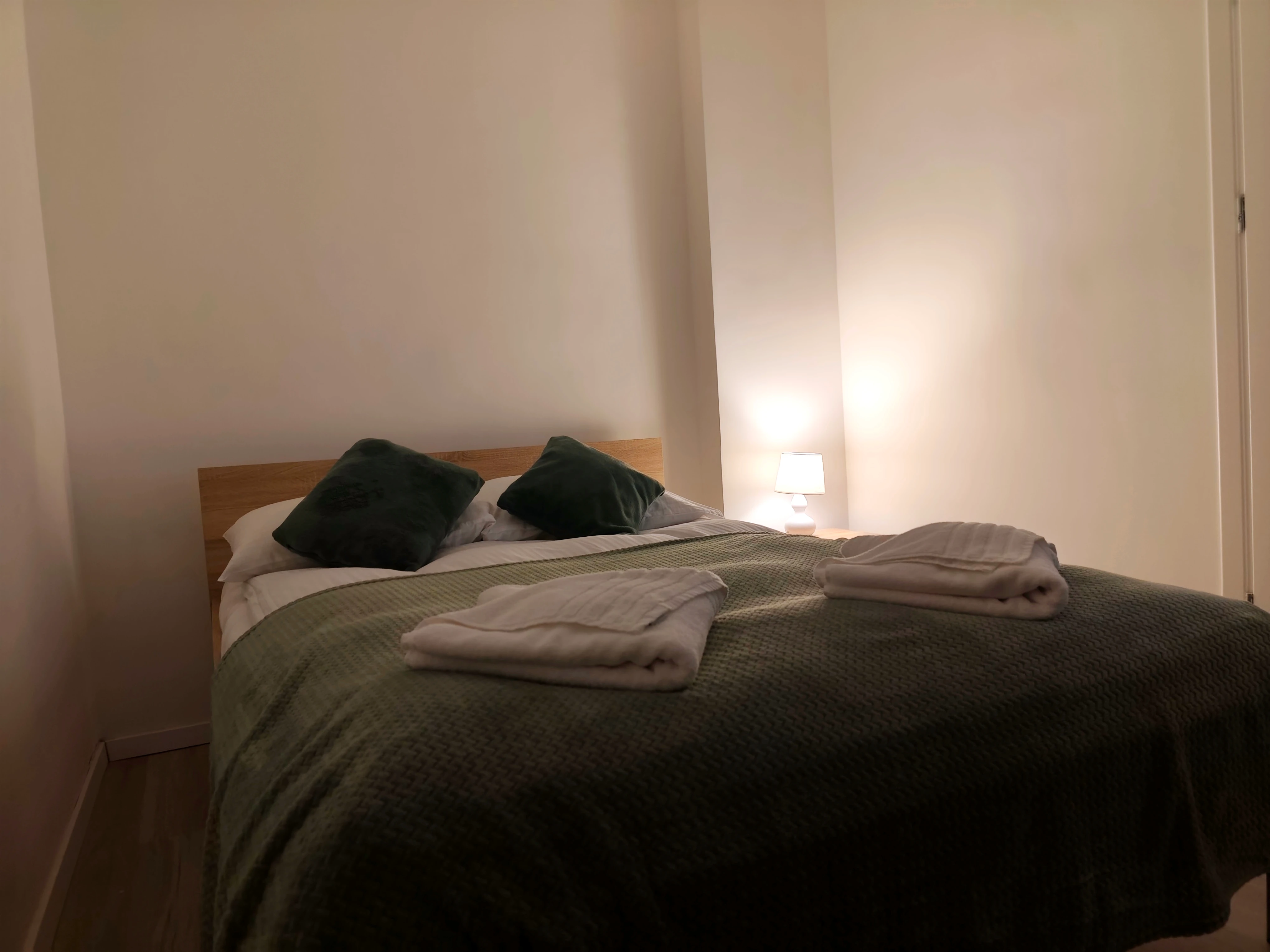 Modern apartment in Toruń