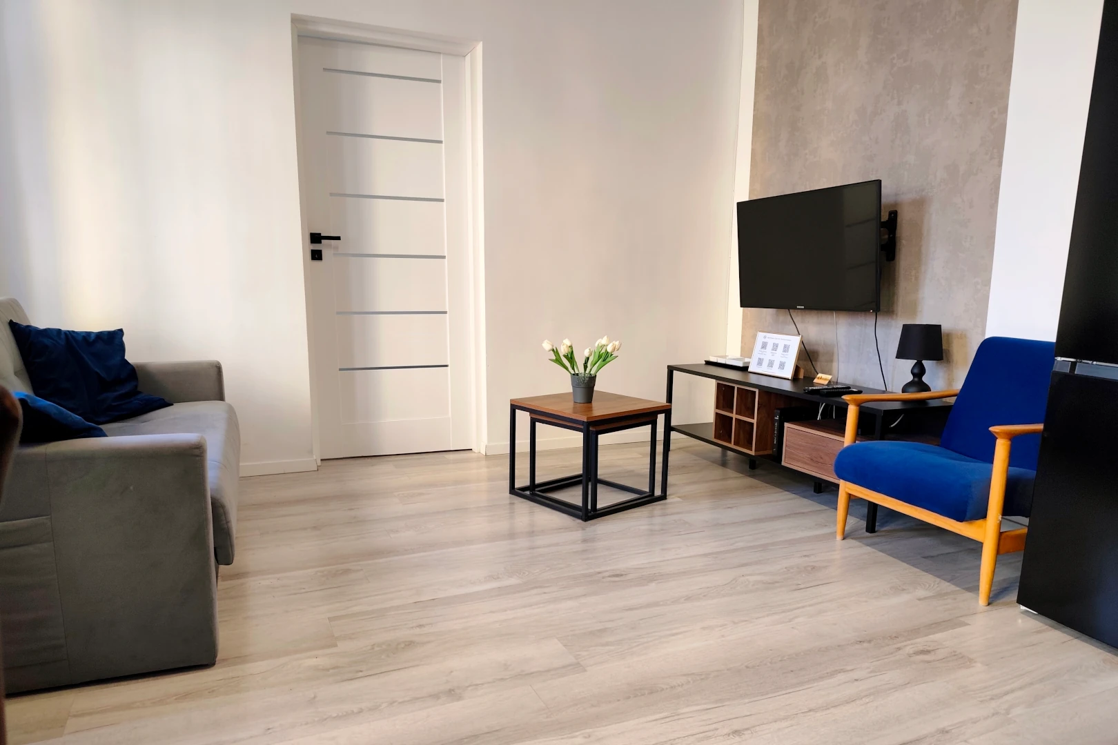 Nowoczesny apartament w Toruniu - apartament oaza 12