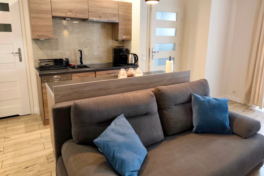 Kuchnia z salonem w apartamencie w Toruniu