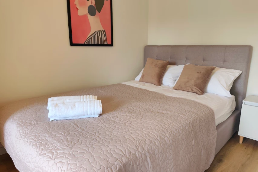 Wnętrze Apartamentu Rybaki No 11 w Toruniu – salon z sofą