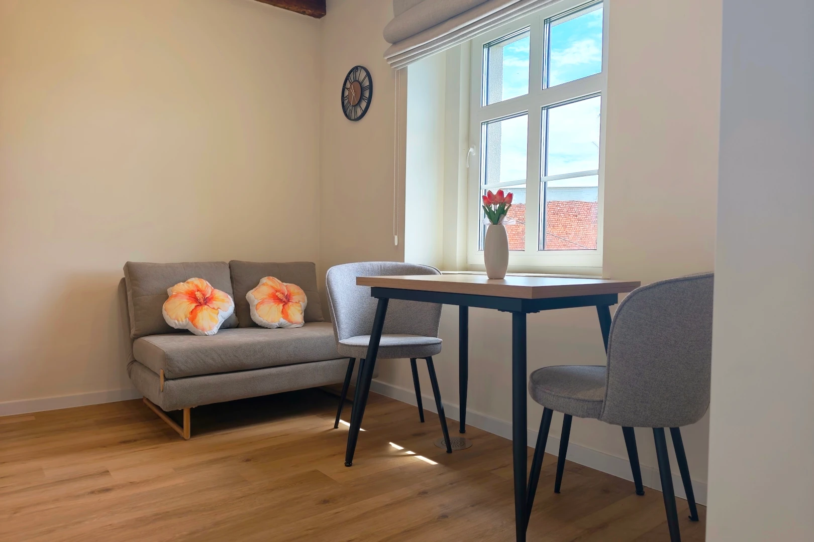 Apartament z udogodnieniami Toruń centrum