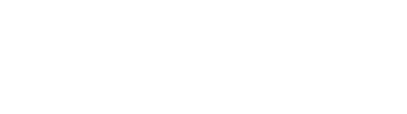 Apartamenty Oaza w Toruniu